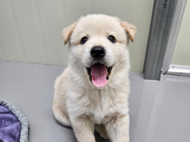 활발한 성격에 사람을 좋아하는 은비. 팅커벨프로젝트 제공