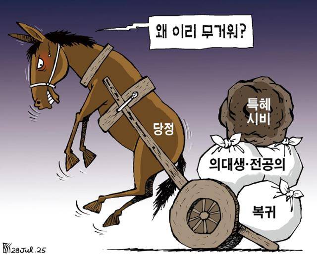 7월28일자 만평