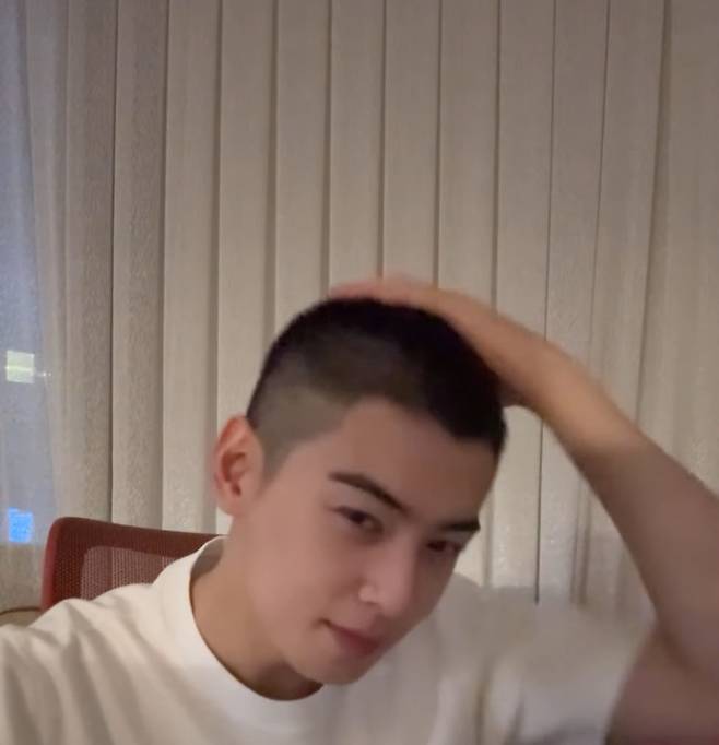 배우 차은우 [차은우 SNS]