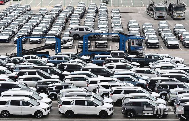 [평택=뉴시스] 김종택 기자 = 경기 평택항 자동차 전용부두에 수출용 차량이 세워져 있는 모습. 2025.07.01. jtk@newsis.com