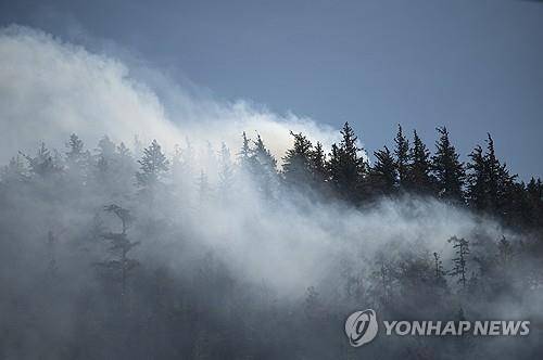 캐나다 산불 [AP 연합뉴스 자료사진. 재판매 및 DB 금지]