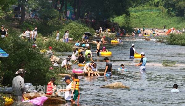 자료사진. /충청타임즈DB