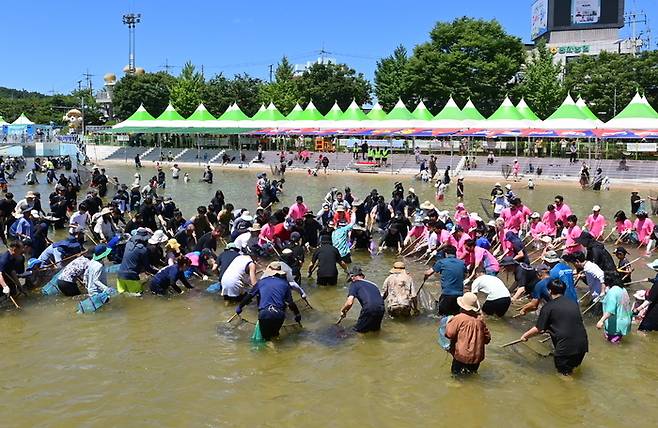 지난 26일 봉화군 내성천에서 열린 은어 반두잡이 체험에 참여한 방문객들이 반두를 들고 일제히 물속을 누비고 있다. 황준오기자
