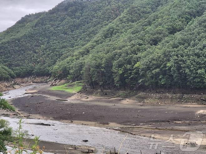 최근 가뭄이 심각한 강릉시 성산면 오봉리 오봉저수지 일대.(뉴스1 DB) ⓒ News1 윤왕근 기자