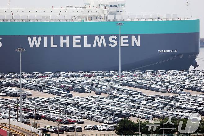 경기 평택시 포승읍 평택항에 수출용 차량들이 세워져 있는 모습. 2025.7.7/뉴스1 ⓒ News1 김영운 기자