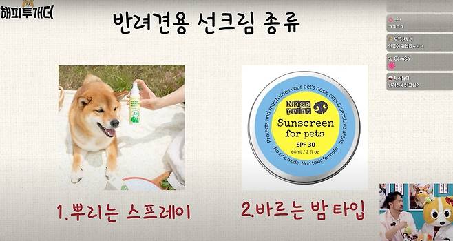 동물 전용 선크림이 시중에 나와 있다(유튜브 개만족 갈무리). ⓒ 뉴스1