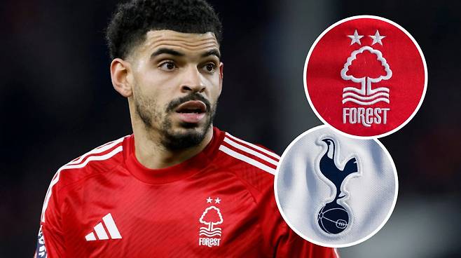 TBR풋볼 기사캡쳐