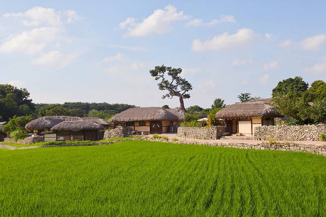 ◇외암마을은 아산의 예산 이씨 집성촌으로, 마을 역사는 500여년에 달한다. 현재도 마울 사람들이 살고 있다. 사진제공=지엔씨21