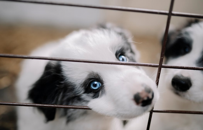 기사 내용과 무관한 자료사진. 펙셀스