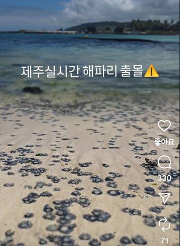 지난 26일 제주시 조천읍 신흥해수욕장. 인스타 @only_chavely 제공