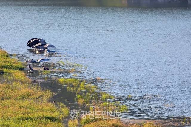 ▲ 지난 27일 폭염 속에 인제군 인제대교 아래에 위치한 소양호 변에서 낚시꾼들이 붕어낚시 삼매경에 빠져 있다.
