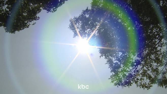 ▲ 자료이미지&nbsp;