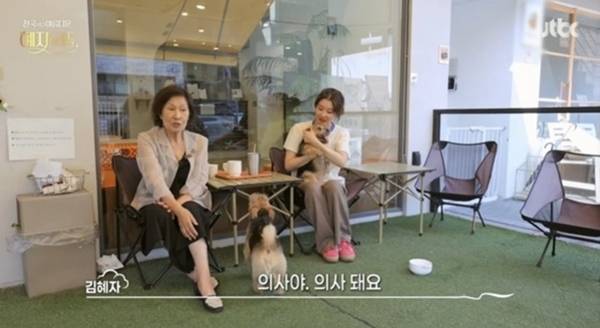 배우 김혜자가 손녀 임지유를 방송 최초로 공개하며 각별한 애정을 드러냈다. 사진 = ‘천국보다 아름다운 혜자의 뜰’ 캡처