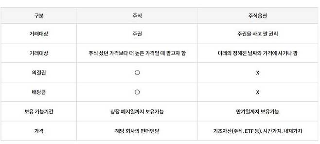 주식과 주식옵션 비교(자료=키움증권) *재판매 및 DB 금지