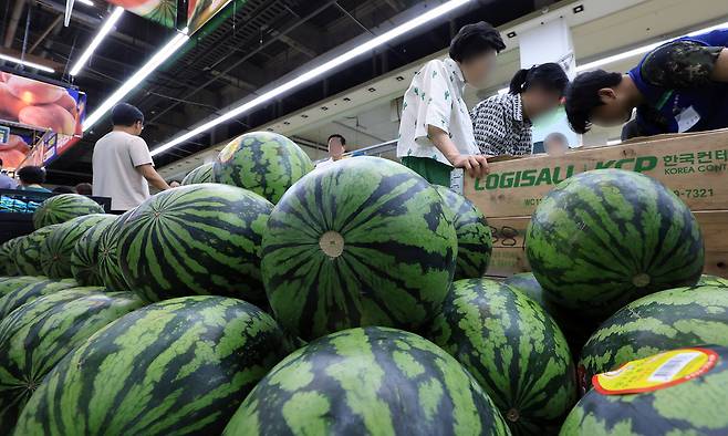 최근 이어진 폭염에 폭우까지 겹치면서 주요 농산물 가격이 한 달 동안 최대 2배 이상 상승한 27일 서울 서초구의 한 대형마트를 찾은 고객들이 수박을 고르고 있다. 한국농수산식품유통공사 농산물유통정보에 따르면 대표적인 여름 과일인 수박(1통) 가격은 2만 8809원으로 이달 초와 비교해 24% 올랐다. 뉴스1