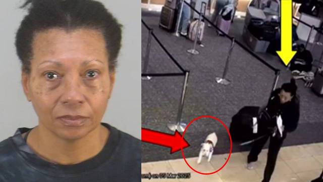 앨리슨 아가사 로렌스(왼쪽)와 올랜도국제공항에서 앨리슨 로렌스가 반려견을 데리고 이동하는 모습(오른쪽). 올랜도경찰 제공