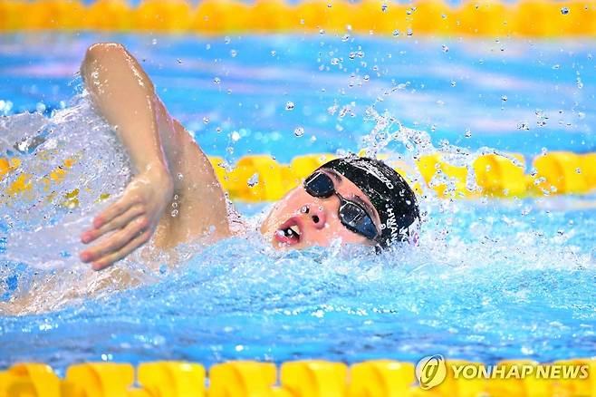 자유형 200ｍ 예선 경기 중인 황선우 [AFP=연합뉴스]