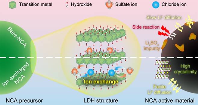 NCA 전구체 이온 교환 기반 개질 기술 개발 [부경대 제공]