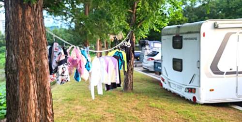 영월 스포츠파크 공영주차장에 얌체 캠핑족들이 나무를 이용해 빨래를 말리고 있다.