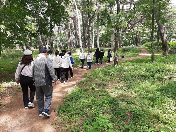 경상남도환경재단 경남생태누리 바우처 사업 참가자들이 표충사 앞 국가생탵탐방로 명상의 숲을 체험하고 있다. /경상남도환경재단