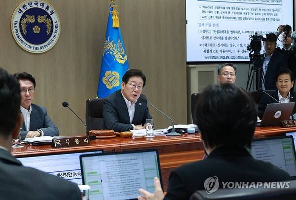 이재명 대통령이 29일 서울 용산 대통령실 청사에서 열린 국무회의에서 송미령 농림축산식품부 장관과 산불, 산사태 대책 관련 논의를 하고 있다. /연합뉴스