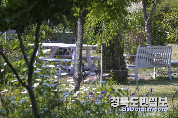 계절의 흐름을 따라 피어난 들꽃들이 정원의 시간을 천천히 물들이며 고요한 여름날의 풍경을 완성한다.