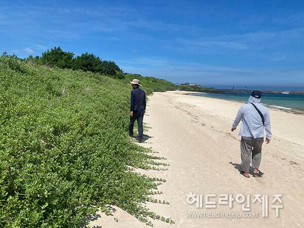하도해사구 (사진=제주자연의벗)
