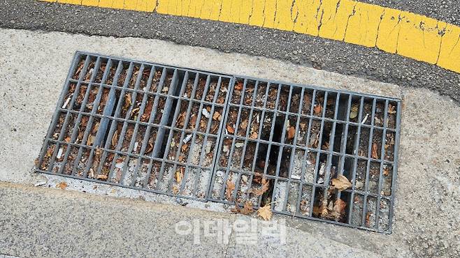 서울 시내 한 빗물받이에 담배꽁초와 낙엽, 쓰레기 등이 버려진 모습. (사진=함지현 기자)