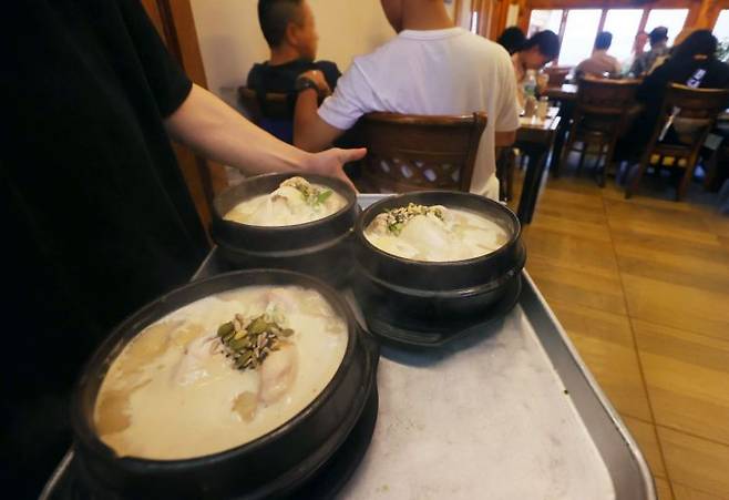 중복을 하루 앞둔 29일 서울 시내의 한 삼계탕집에서 직원이 삼계탕을 서빙하고 있다. 연합뉴스