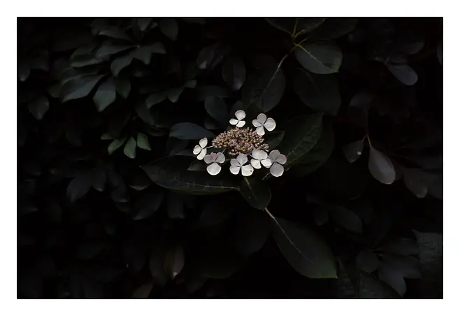 7aec866bb5876aeb3eea98a213d3341d5bf4be07cde5942e02e96b