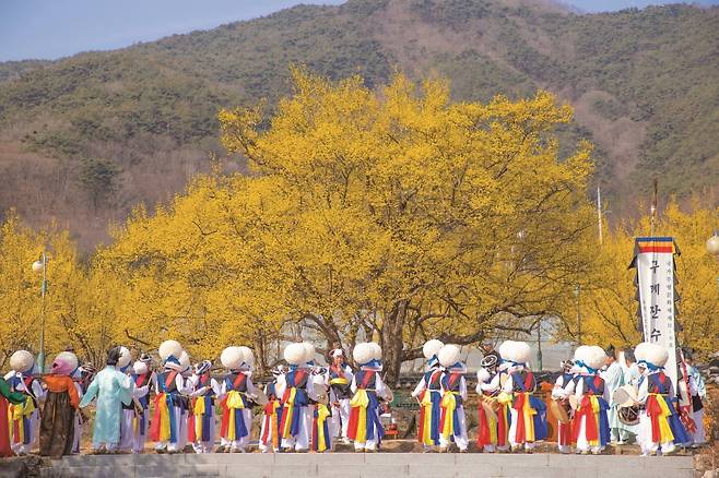 구례 산수유마을
