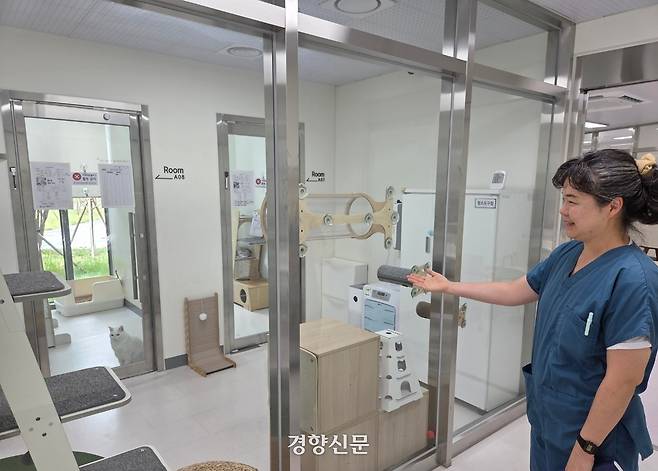 공수현 경기도 반려동물과 반려마루2팀 주무관이 1일 경기 화성시 마도면에 있는 반려마루 화성 고양이입양센터에서 유기묘가 생활하는 공간을 가리키고 있다. 김태희기자