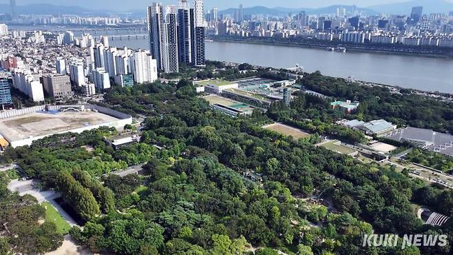 도시의 허파 ‘숲’매연과 미세먼지로 가득한 공기를 정화하고 도시 대기의 포화 상태에 가까운 탄소를 흡수해 맑은 공기를 만들어내는 데 나무만큼 효과적인 수단은 없다. 다양한 도시숲의 조성과 확장은 기후위기 시대를 살아가기 위한 도시의 생존 인프라이며 회복력 있는 미래를 위한 최소한의 준비다.