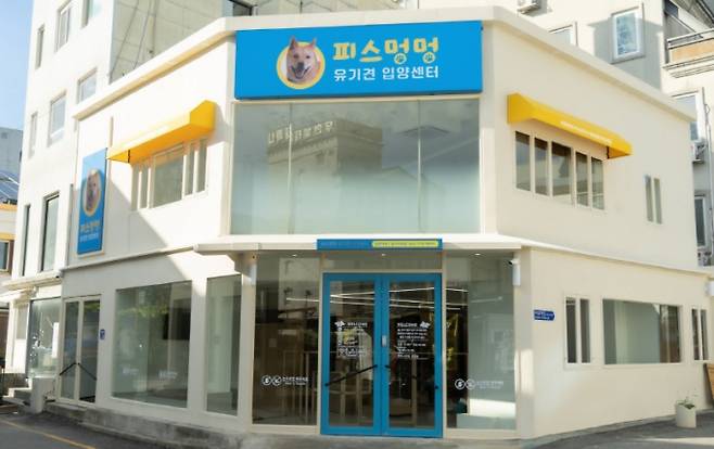 유기견 입양센터./사진=광주시 동구청