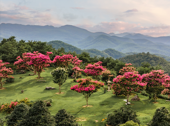 군위 사유원 별유동천 요즘 풍경