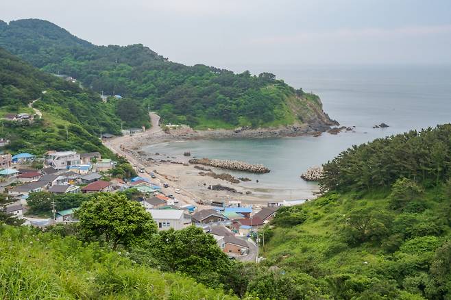 동백나무 군락지에서 바라본 예동마을