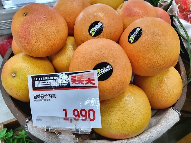 대형마트에서 진열된 남아공산 자몽 [이은별 제공. 재판매 및 DB 금지]