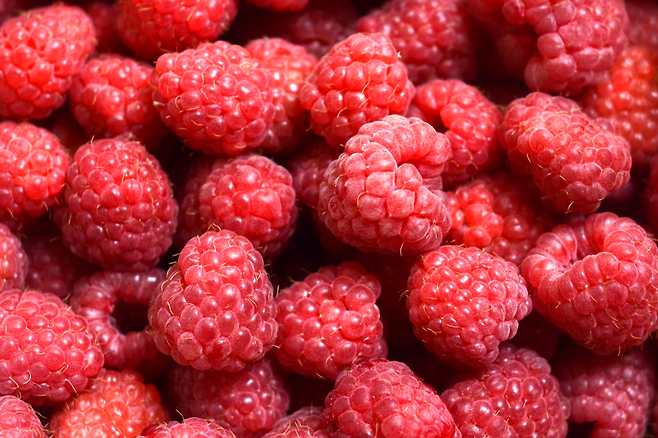 라즈베리