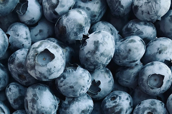 블루베리