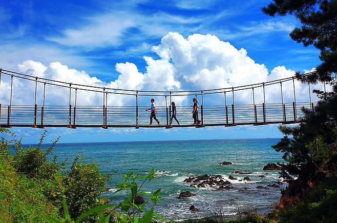 주상절리 파도 소리길 출렁다리 모습. /경주시 제공