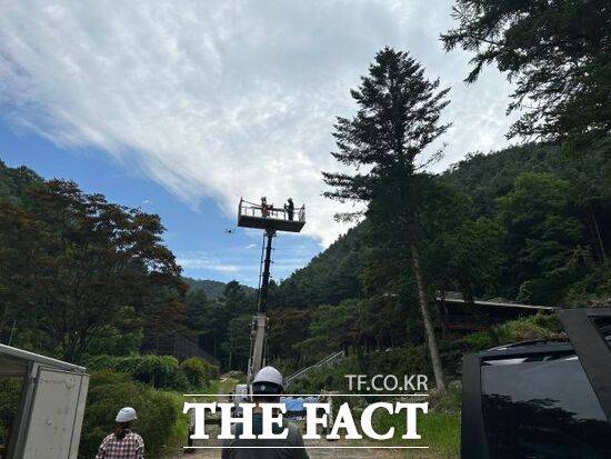 경기도 관계자들이 29일 경기 남양주시에서 드론을 이용해 소나무재선충병 예찰 활동을 벌이고 있다. /경기도