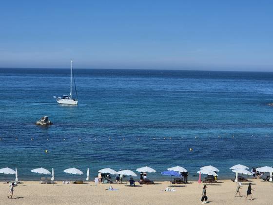 지난 25일 강원 강릉시 안목해수욕장에 상어와 해파리의 접근을 막는 유해 생물 방지망이 설치돼 있다. 박진호 기자