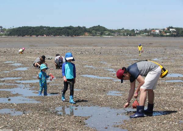 궁평항&백미리 갯벌체험존. 화성특례시 제공