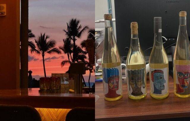 하정우 소셜미디어