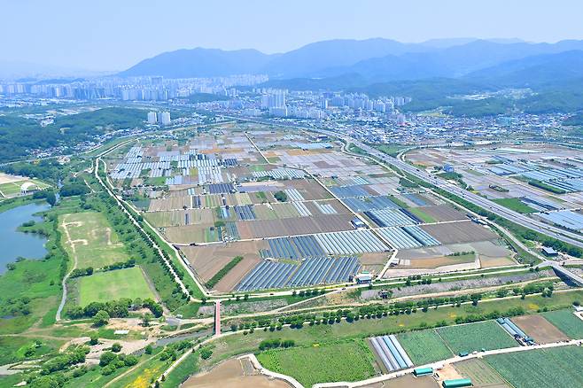 대구제2국가산업단지예정지 모습.[대구 달성군 제공]