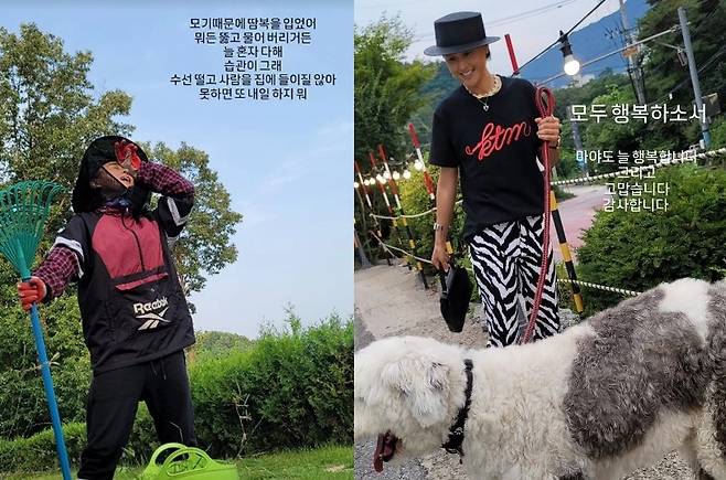 마야 소셜미디어