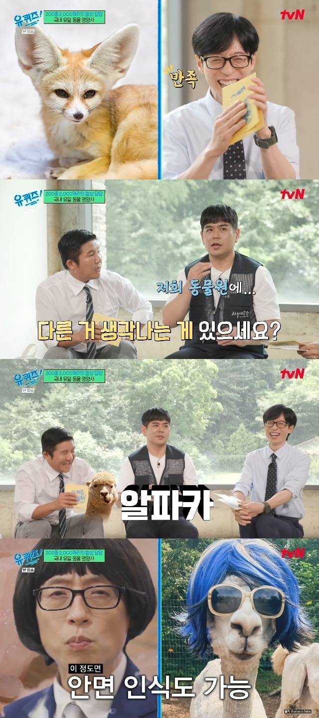tvN ‘유 퀴즈 온 더 블럭’ 캡처