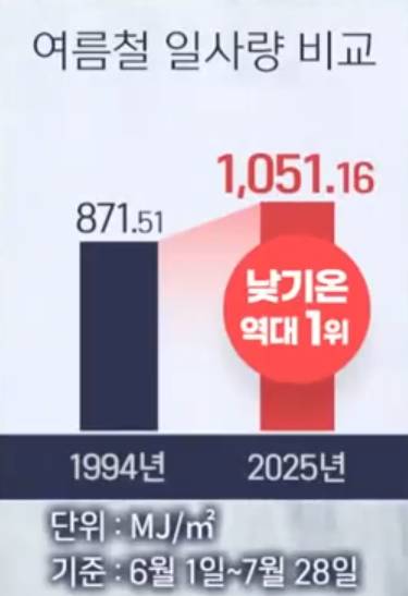여름철 일사량 비교 [연합뉴스TV 제작]
