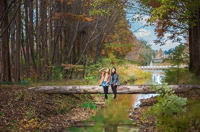 경북천년숲정원.&nbsp;
