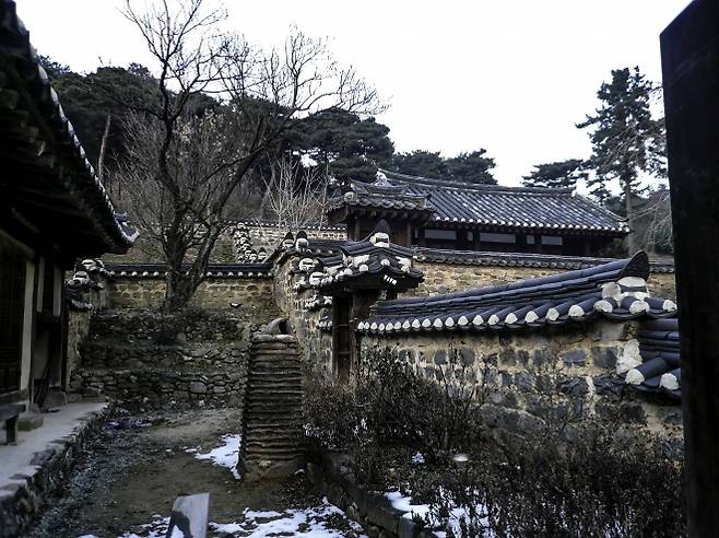 명재고택에는 단을 쌓고 나무 한 그루를 심은 공간이 있다. 사당으로 향하는 엄숙한 길목이라는 목적에 적합하다.  가온건축 제공